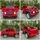 Mercedes Benz Painted Red - ელექტრო მანქანა კაუჩუკის საბურავებით და ტყავის სავარძლით