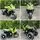 Electric Moto Green - ელექტრო მოტოციკლი