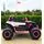 Children Electric Car DLS-X1 Pink - ელექტრო მანქანა, 5 image