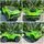 Lamborghini Electric Car Green - ელექტრო მანქანა კაუჩკის საბურავებით და ტყავის სავარძლით
