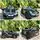 Porsche Electric Car Black - ელექტრო მანქანა