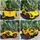 Electric Car Speed 63 Yellow - ელექტრო მანქანა