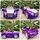 Rolls Royce Electric Car Painted Purple - ელექტრო მანქანა