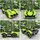 Lamborghini V12 Sports Car Green - ელექტრო მანქანა