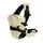 Cangaroo Baby Carrier Carry Go Beige - ახალშობილის კენგურუ
