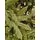 Victoria Christmas Tree Green Exclusive PVC 300CM ნაძვის ხე, 3 image