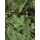 Canadian Christmas Tree Green PE 230CM ნაძვის ხე 100% სილიკონი, 7 image