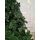 Canadian Christmas Tree Green PE 230CM ნაძვის ხე 100% სილიკონი, 6 image