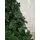 Canadian Christmas Tree Green PE 230CM ნაძვის ხე 100% სილიკონი, 6 image