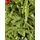 Christmas Tree With Berries საახალწლო ნაძვის ხე სილიკონის შერეული წიწვებით და კენკრით 210 სმ (OT035), 14 image