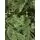 Canadian Christmas Tree Green PE 230CM ნაძვის ხე 100% სილიკონი, 7 image