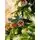 Christmas Tree With Pine Cones And Berries საახალწლო ნაძვის ხე სილიკონის შერეული  წიწვებით, გირჩით და კენკრით 180 სმ (OT2003), 15 image