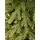 Carpathian Christmas Tree Green PVC + PE 230CM ნაძვის ხე შერეული სილიკონის წიწვებით, 5 image