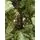 Canadian Christmas Tree Blue-Green PE 230 CM ნაძვის ხე 100% სილიკონი, 7 image