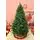 Christmas Tree 210CM საახალწლო ნაძვის ხე