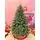 Christmas Tree 210 CM ნაძვის ხე შერეული სილიკონის წიწვებით, 2 image