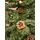 Christmas Tree With Pine Cones 210 CM ნაძვის ხე გირჩებით, 6 image