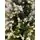 Christmas Tree With Lights 210 CM ნაძვის ხე შერეული სილიკონის წიწვებით და განათებით, 6 image