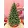 Christmas Tree 240 CM  ნაძვის ხე შერეული სილიკონის წიწვებით