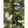 Christmas Tree With Lights 210 CM ნაძვის ხე შერეული სილიკონის წიწვებით და განათებით, 4 image