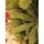 Christmas Tree 210 CM ნაძვის ხე შერეული სილიკონის წიწვებით, 5 image