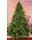 Christmas Tree 270 CM ნაძვის ხე 100 % სილიკონი, 3 image