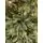 Christmas Tree With Lights 240 CM  ნაძვის ხე შერეული სილიკონის წიწვებით და განათებით, 4 image