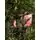 Christmas Tree 240 CM ნაძვის ხე შერეული სილიკონის წიწვებით, 6 image