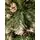 Christmas Tree With Pine Cones საახალწლო ნაძვის ხე გირჩებით 210 სმ, 4 image