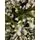 Christmas Tree With Lights 210 CM ნაძვის ხე შერეული სილიკონის წიწვებით და განათებით, 3 image