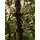 Christmas Tree 210 CM  ნაძვის ხე 100 % სილიკონი, 6 image