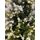 Christmas Tree With Lights 210 CM ნაძვის ხე შერეული სილიკონის წიწვებით და განათებით, 6 image