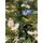 Christmas Tree With Lights 210 CM ნაძვის ხე შერეული სილიკონის წიწვებით და განათებით, 4 image