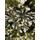 Christmas Tree With Lights 210 CM ნაძვის ხე შერეული სილიკონის წიწვებით და განათებით, 2 image