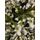 Christmas Tree With Lights 210 CM ნაძვის ხე შერეული სილიკონის წიწვებით და განათებით, 3 image