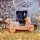 Electric Moto Pink - ელექტრო მოტოციკლი, 2 image