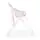 Cangaroo Noodle Pink - საკვები სკამ-მაგიდა, 5 image