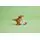 Lego Jurassic World 76967 Little Eatie: T. rex, 8 image