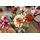Lego Botanical Collection 10342 Pretty Pink Flower Bouquet, 9 image