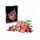 Lego Botanical Collection 10342 Pretty Pink Flower Bouquet