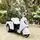 Electric Moto Silver - ელექტრო მოტოციკლი