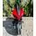 Electric Moto Ford Mustang Red - ელექტრო მოტოციკლი, 2 image