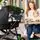 Graco Transform 2-in-1 Pushchair Ink Tan ახალშობილის ეტლი, 11 image
