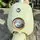 Vintage Motorcycle Milk Green - ელექტრო მოტოციკლი, 7 image