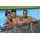 Bestway 561KJ Rectangular Pool Set With Filter And Ladder - კარკასული აუზი ქვიშის ფილტრით და კიბით, 12 image