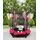 Metal & Plastic Trampoline 140cm 5FT Red - ბატუტი, 2 image