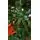 Christmas Tree 180 CM საახალწლო ნაძვის ხე, 4 image