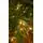 Christmas Tree With Lights 210 CM საახალწლო ნაძვის ხე განათებით, 3 image