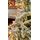 Christmas Tree With Lights 225 CM Snow-Covered - საახალწლო ნაძვის ხე დათოვლილი ტოტებით და განათებით, 11 image