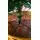 Christmas Tree 210 CM საახალწლო ნაძვის ხე, 5 image